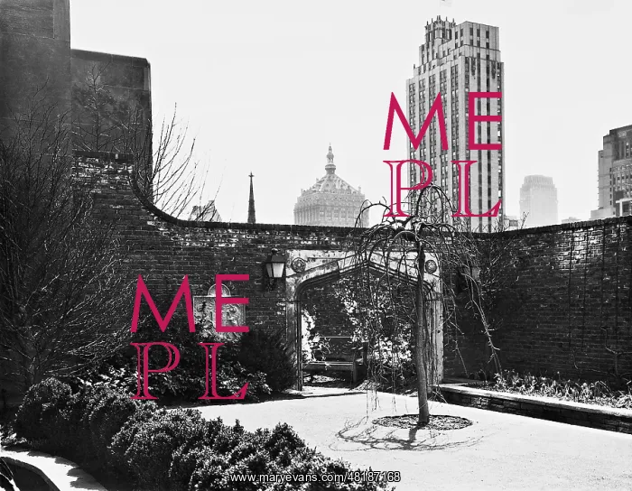: Garden in the Rockefeller Center, 1935 : Garden in the Rockefeller Center, 1935