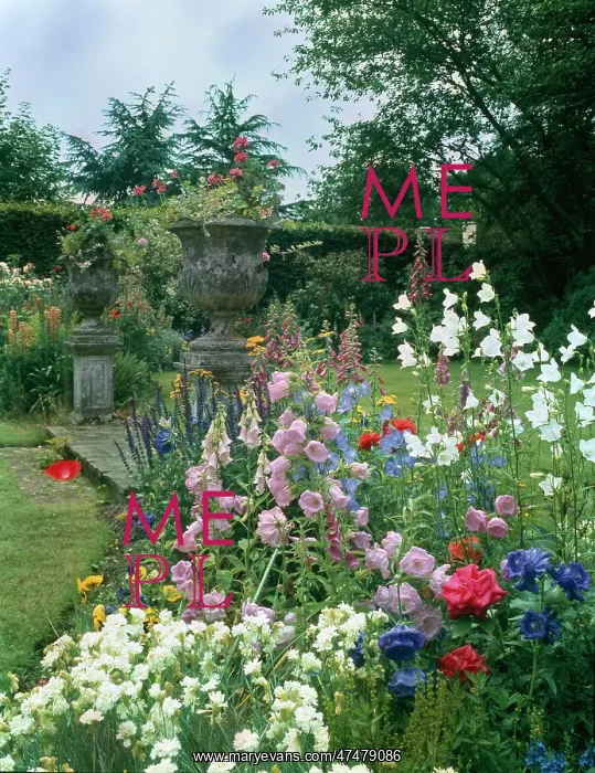 : Garden Scene with Stone Urns, Foxgloves etc : Garden Scene with Stone Urns, Foxgloves etc