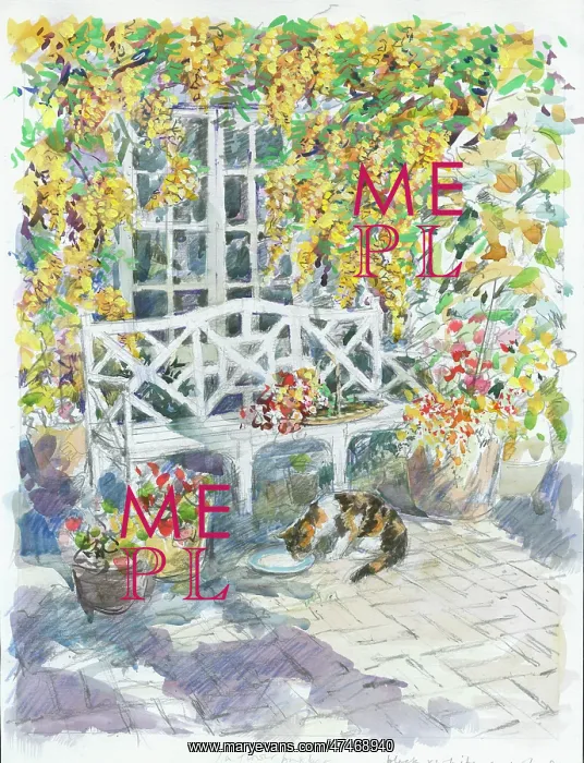 : Garden Seat under Laburnum Tree with cat : Garden Seat under Laburnum Tree with cat