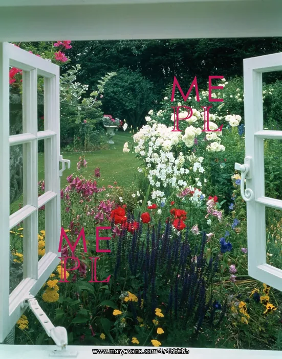 : Garden seen from white window : Garden seen from white window