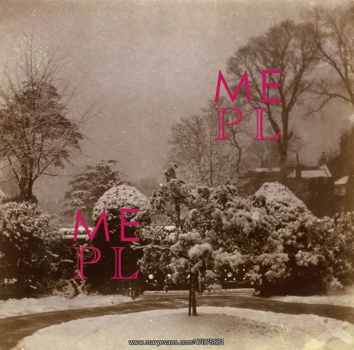 : Front garden in the snow, Ealing, West London : Front garden in the snow, Ealing, West London