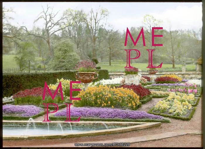 : Garden in the spring at Abbotswood, Gloucestershire : Garden in the spring at Abbotswood, Gloucestershire