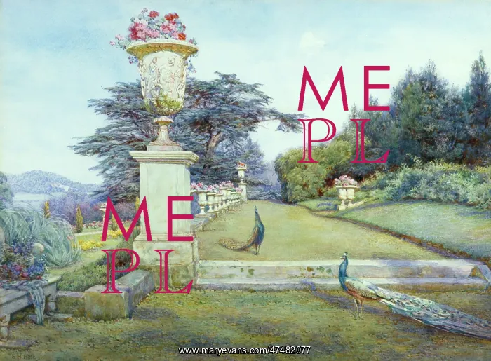 : Garden with urn and peacocks : Garden with urn and peacocks
