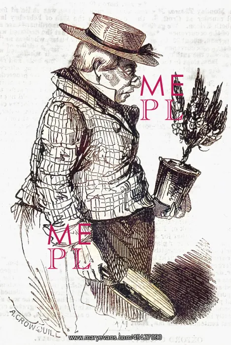 : Gardener, 1843 : Gardener, 1843