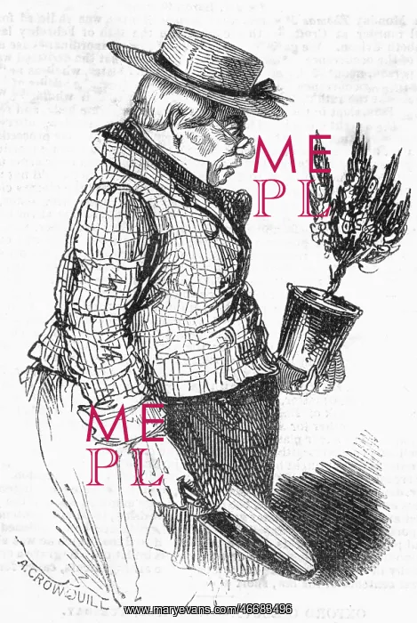 : Gardener, 1843 : Gardener, 1843