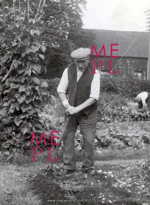  : Gardener
