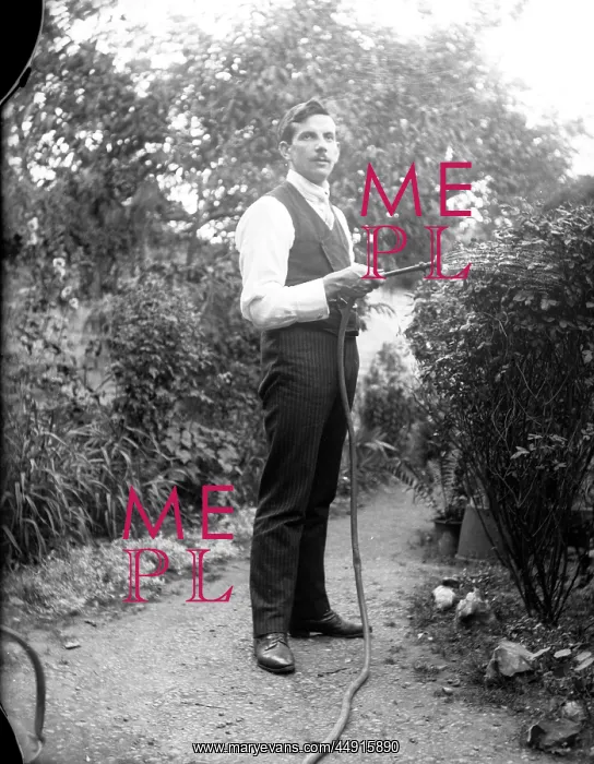 : Gardener AHT-Boswell (neg in wrong place) : Gardener AHT-Boswell (neg in wrong place)