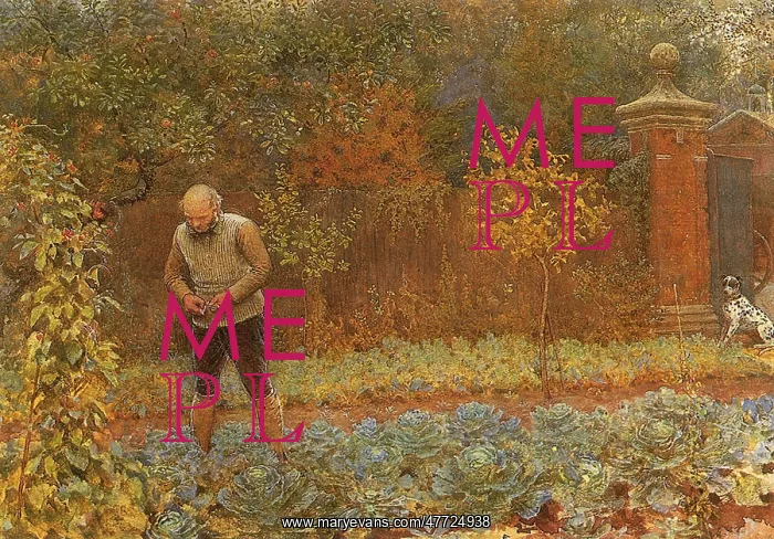  : Gardener and Cabbages