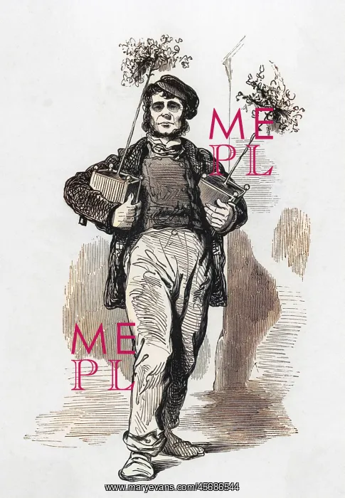 : Gardener, Paris c.1860 : Gardener, Paris c.1860