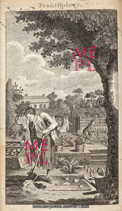 : Gardeners at work in walled garden : Gardeners at work in walled garden