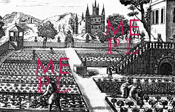 : Gardening. agriculture, horticulture, garden with medicinical herbs : Gardening. agriculture, horticulture, garden with medicinical herbs