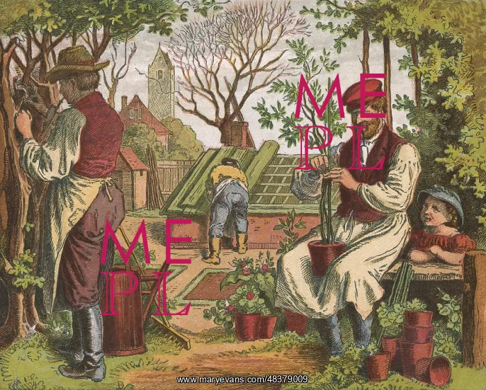 : Gardening. In the foreground gardeners are pruning : Gardening. In the foreground gardeners are pruning