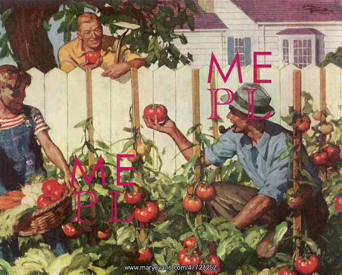  : Gardening Neighbors