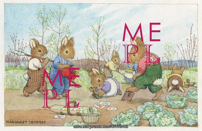 : Gardening ? rabbits : Gardening ? rabbits