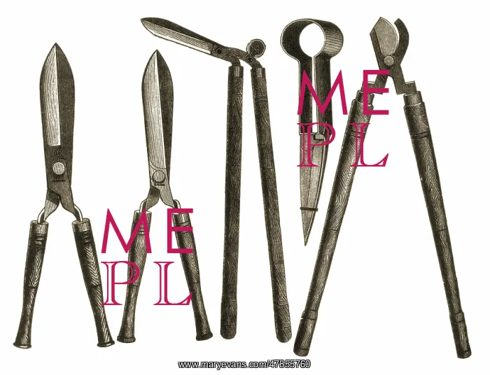 : Gardening Shears : Gardening Shears