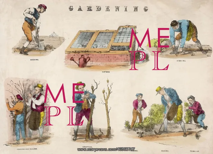 : GARDENING TASKS : GARDENING TASKS