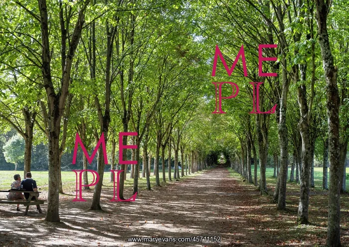 : Gardens, Chateau du Plessis-Bourre, Ecuille : Gardens, Chateau du Plessis-Bourre, Ecuille