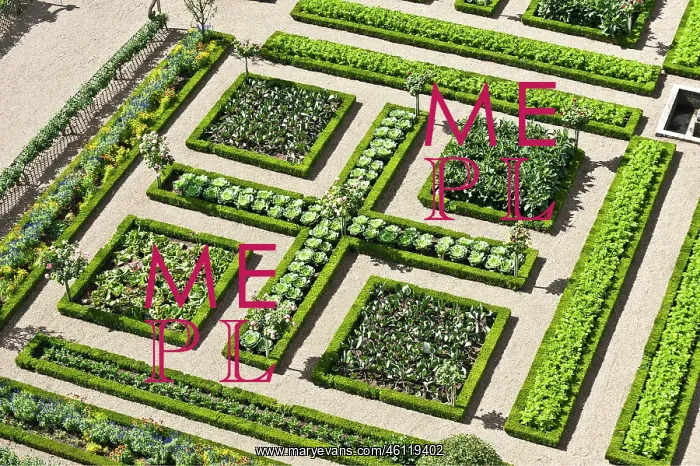 : Gardens of the Chnteau de Villandry : Gardens of the Chnteau de Villandry