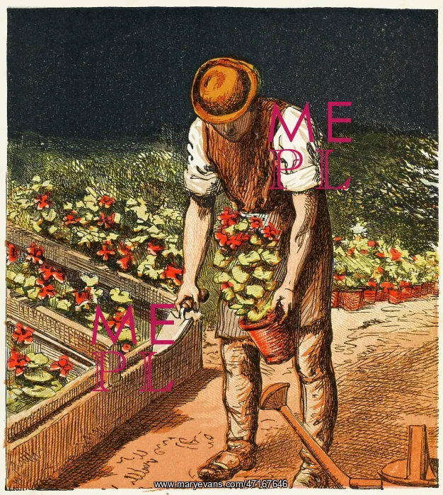 : GARDENS / OPERATIONS / 1867 : GARDENS / OPERATIONS / 1867