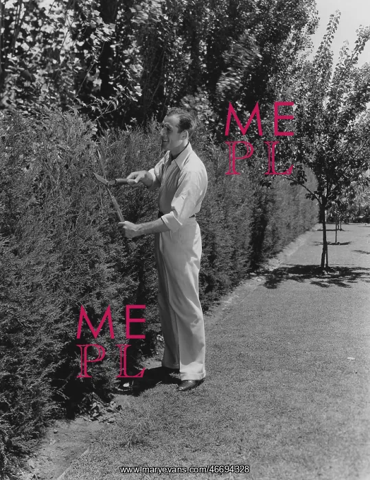 : Gardner prunes bushes : Gardner prunes bushes