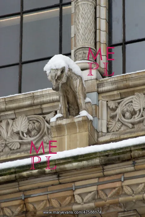 : Gargoyle. One of the many gargoyles which adorn the exterior of the Natural History Museum : Gargoyle. One of the many gargoyles which adorn the exterior of the Natural History Museum