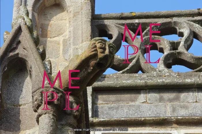 : Gargoyle, Cathedral Saint-Samson, Dol-de-Bretagne : Gargoyle, Cathedral Saint-Samson, Dol-de-Bretagne