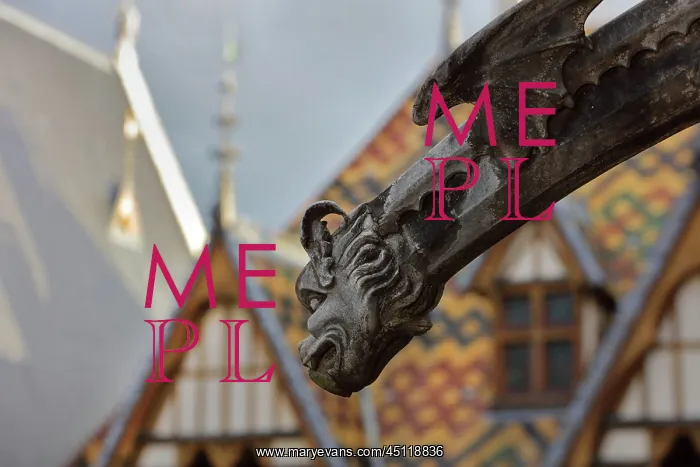 : Gargoyle, Hospices de Beaune, Beaune, Burgundy, France : Gargoyle, Hospices de Beaune, Beaune, Burgundy, France