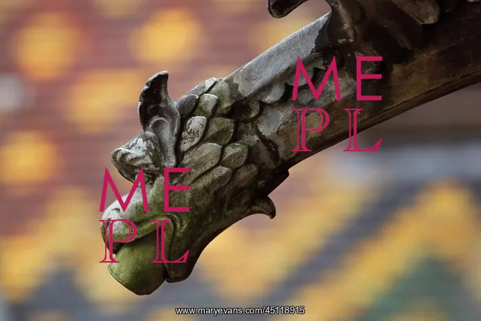 : Gargoyle, Hospices de Beaune, Beaune, Burgundy, France : Gargoyle, Hospices de Beaune, Beaune, Burgundy, France