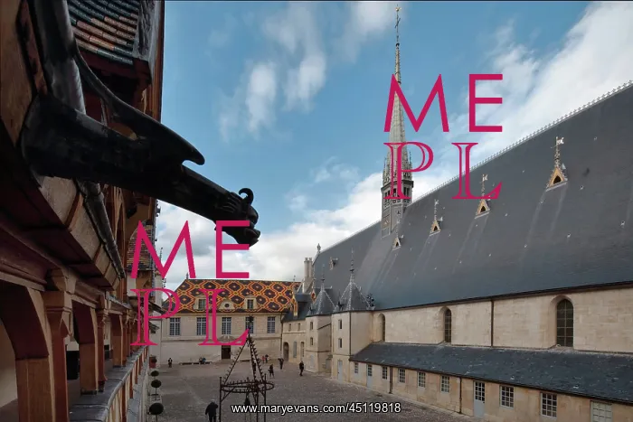 : Gargoyle, Hospices de Beaune, Beaune, Burgundy, France : Gargoyle, Hospices de Beaune, Beaune, Burgundy, France