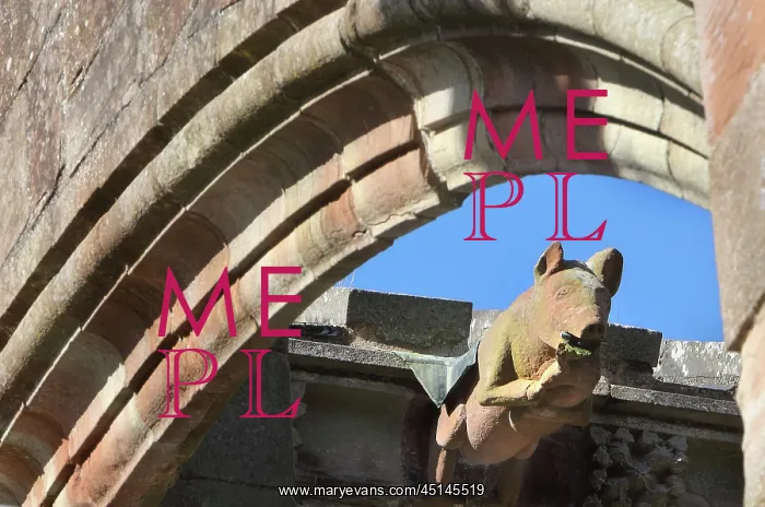 : Gargoyle, Melrose Abbey, Borders, Scotland : Gargoyle, Melrose Abbey, Borders, Scotland