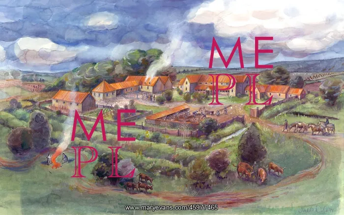 : Gargrave Roman Villa : Gargrave Roman Villa