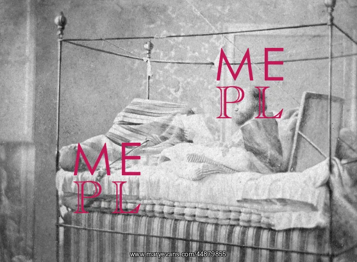 : GARIBALDI IN BED : GARIBALDI IN BED