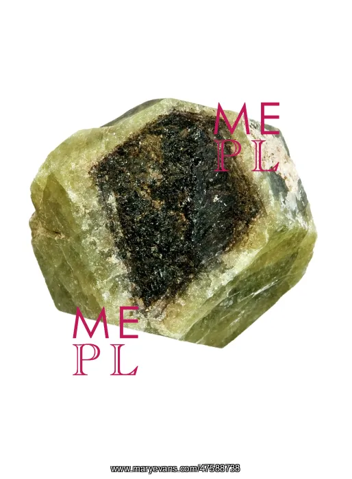 : Garnet specimen : Garnet specimen