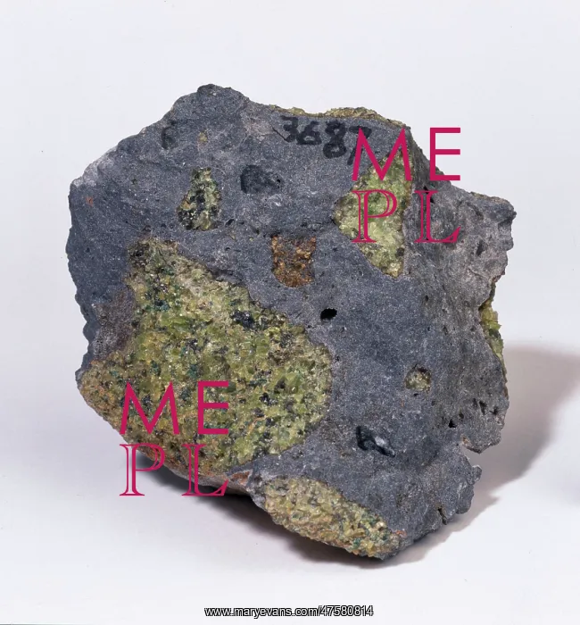 : Garnet Peridotite : Garnet Peridotite