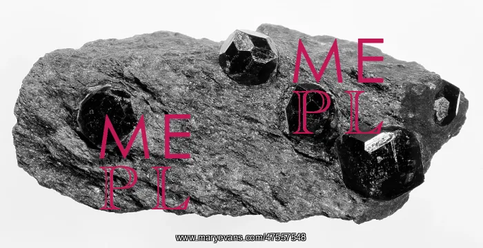 : Garnetiferous schist : Garnetiferous schist