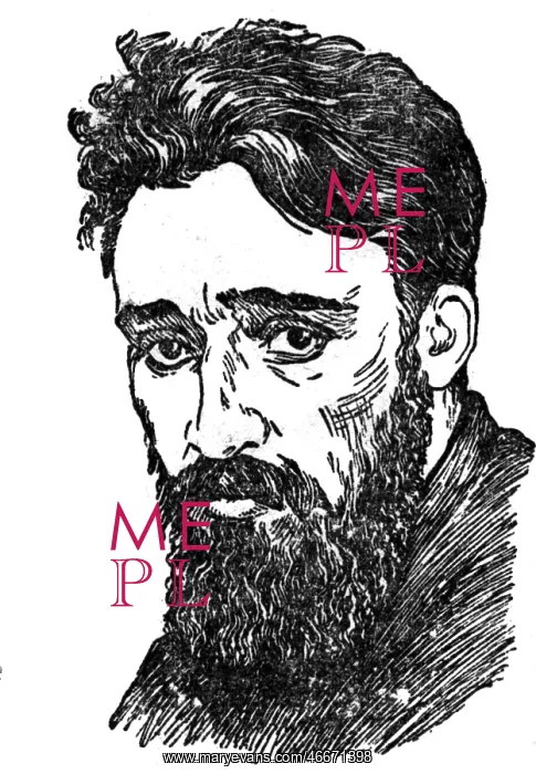 : Garshin, Vsevolod Mikhailovich, 14.2.1855 - 5.4.1888 : Garshin, Vsevolod Mikhailovich, 14.2.1855 - 5.4.1888