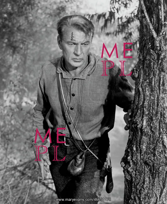 : Gary Cooper - Actor : Gary Cooper - Actor