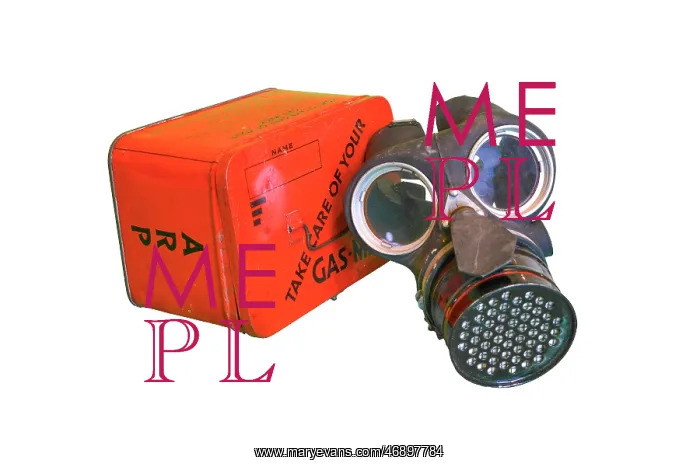 : Gas mask and container : Gas mask and container
