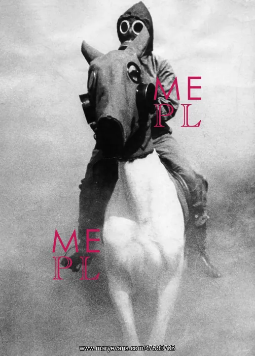 : Gas Masks. Rider and horse move through a staged gas attack at a routine : Gas Masks. Rider and horse move through a staged gas attack at a routine