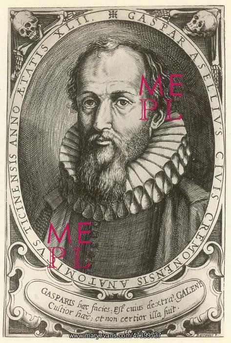 : GASPAR ASELLI : GASPAR ASELLI