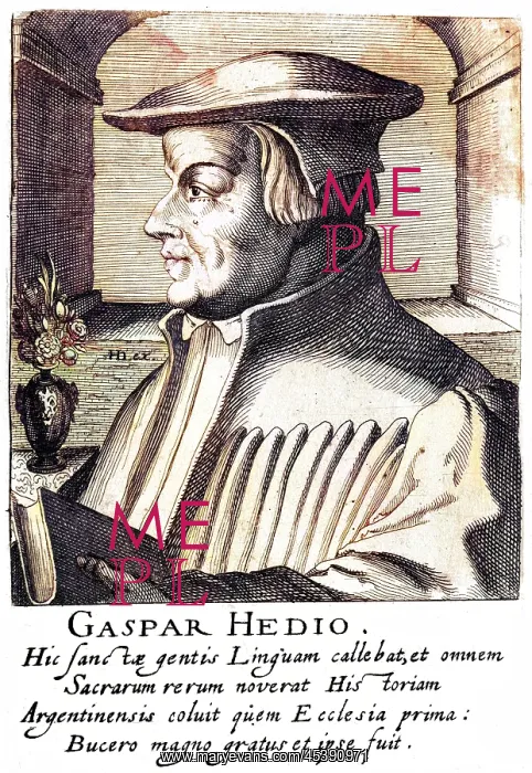 : GASPAR HEDIO - 2 : GASPAR HEDIO - 2
