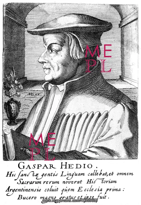  : GASPAR HEDIO - 2