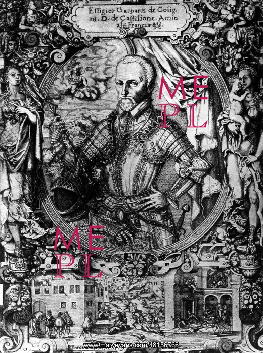 : Gaspard de Coligny : Gaspard de Coligny