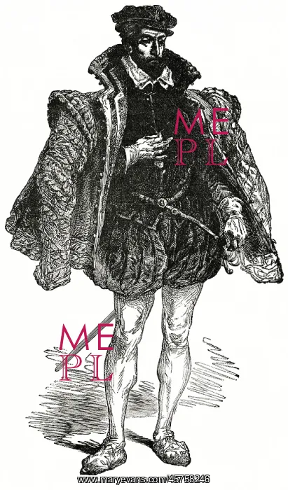 : Gaspard de Coligny - Gaspard II de Coligny : Gaspard de Coligny - Gaspard II de Coligny