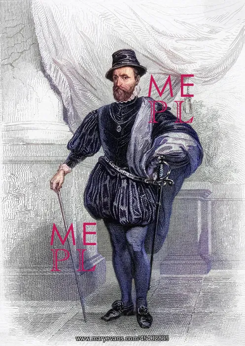 : GASPARD DE TAVANNES : GASPARD DE TAVANNES
