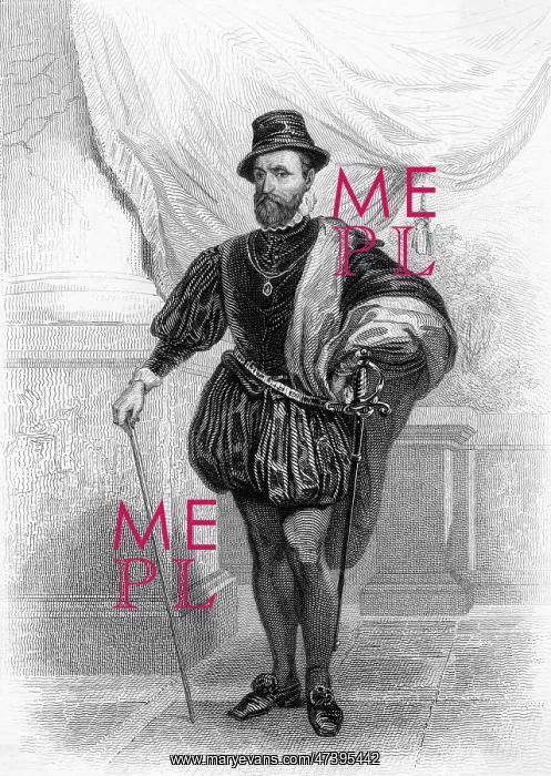 : GASPARD DE TAVANNES : GASPARD DE TAVANNES