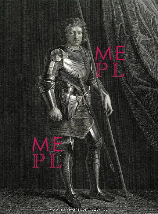 : GASTON DE FOIX : GASTON DE FOIX