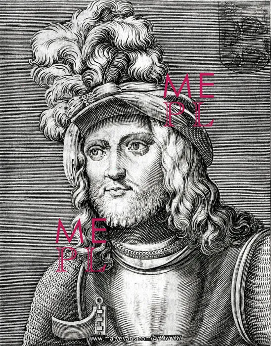 : GASTON DE FOIX : GASTON DE FOIX