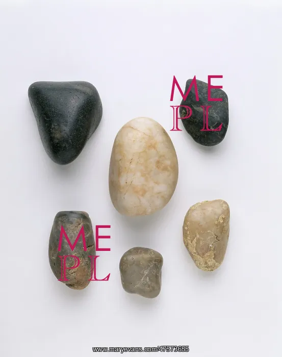 : Gastroliths, stomach stones : Gastroliths, stomach stones