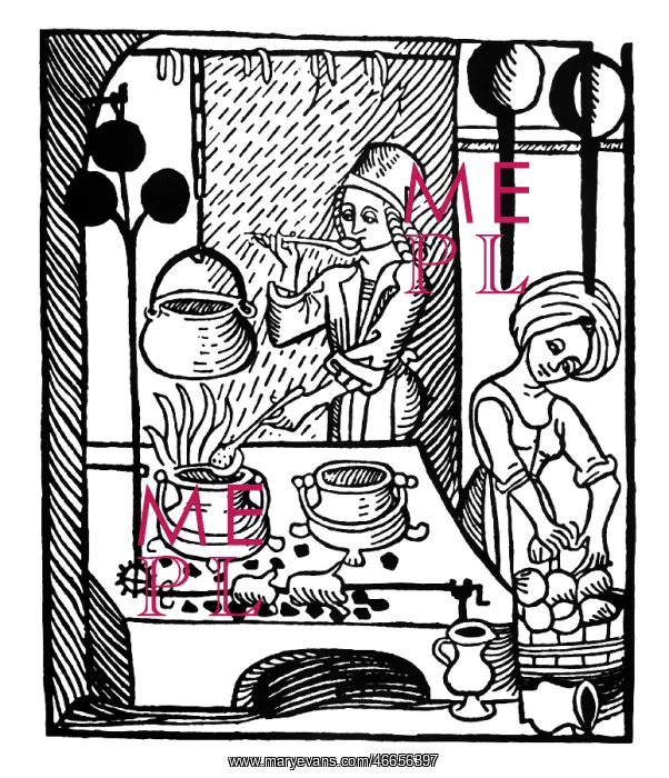 : gastronomy, kitchen, cook and maid during work : gastronomy, kitchen, cook and maid during work